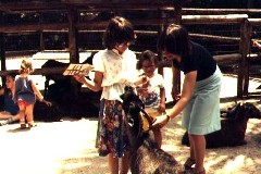 Katherine (Kat) McDougal Wheeler McCandless; Busch Gardens zoo; Family